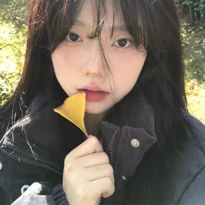 狗不理传奇